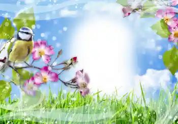 Photo effect from category Different № 91774 Photo effect from category Different № 91774