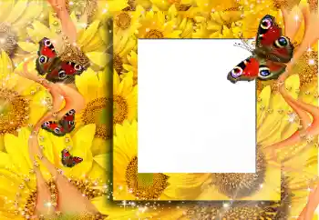 Photo effect from category Different № 91829