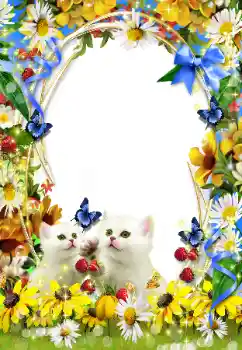 Photo effect from category Different № 93351 Photo effect from category Different № 93351