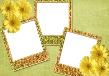 Photo effect from category Different № 93371 Photo effect from category Different № 93371