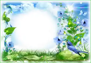 Photo effect from category Different № 94495