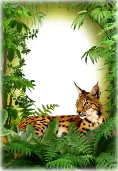 Photo effect from category Different № 94618