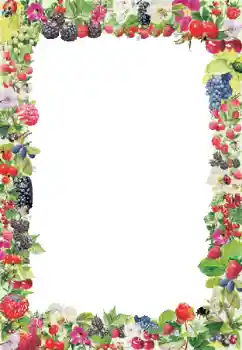 Photo effect from category Different № 9790