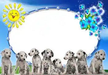 Photo effect from category Different № 9907