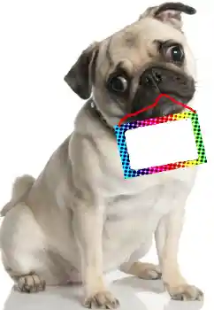 Photo effect from category Different № 99781