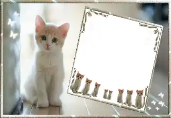 Photo effect from category Different № 99811