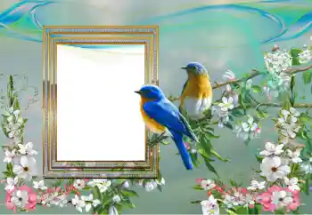 Photo effect from category Different № 99895