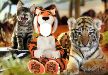 Photo effect from category For children № 118830