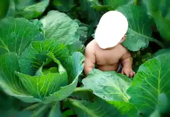 Photo effect from category For children № 90533