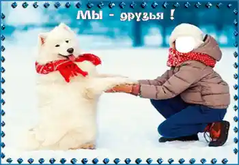 An inscription on the frame: Мы - друзья!