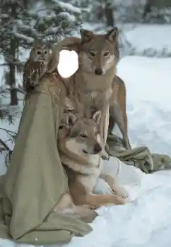 Photo effect from category For women № 129849