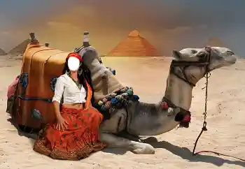 Photo effect from category For women № 38344