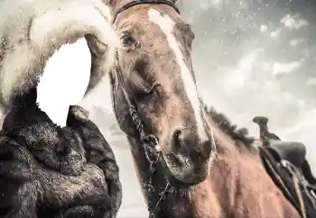 Photo effect from category For women № 38493