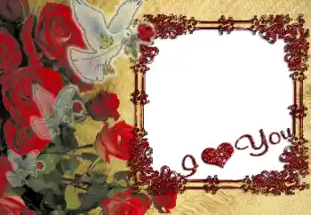 An inscription on the frame: I love you! An inscription on the frame: I love you!