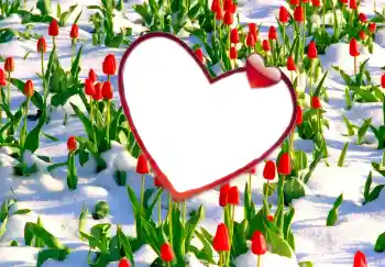 Photo effect from category Frames for Lovers № 114247 Photo effect from category Frames for Lovers № 114247