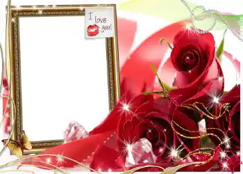 An inscription on the frame: I love you! An inscription on the frame: I love you!