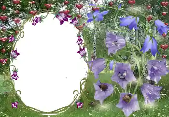 Photo effect from category Frames for Lovers № 131799