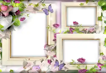 Photo effect from category Frames for Lovers № 141166