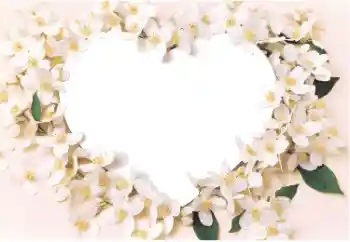 Photo effect from category Frames for Lovers № 14892 Photo effect from category Frames for Lovers № 14892