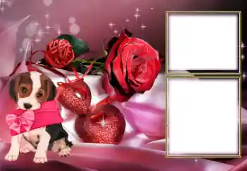 Photo effect from category Frames for Lovers № 154605 Photo effect from category Frames for Lovers № 154605