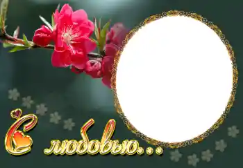 An inscription on the frame: С любовью... An inscription on the frame: С любовью...