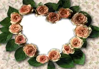 Photo effect from category Frames for Lovers № 1788 Photo effect from category Frames for Lovers № 1788