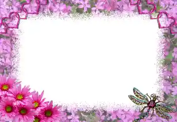 Photo effect from category Frames for Lovers № 1817 Photo effect from category Frames for Lovers № 1817