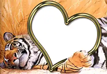 Photo effect from category Frames for Lovers № 2202 Photo effect from category Frames for Lovers № 2202