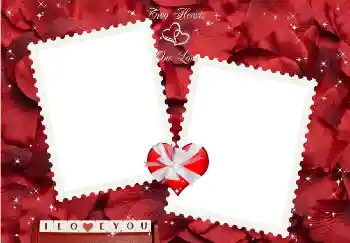 An inscription on the frame: I love you! An inscription on the frame: I love you!