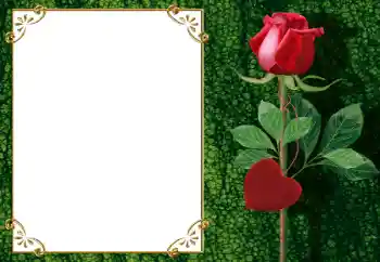 Photo effect from category Frames for Lovers № 34006