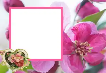 Photo effect from category Frames for Lovers № 43593