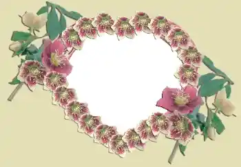 Photo effect from category Frames for Lovers № 49524