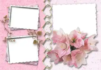 Photo effect from category Frames for Lovers № 64046