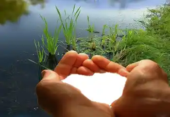 Photo effect from category Frames for Lovers № 67019 Photo effect from category Frames for Lovers № 67019