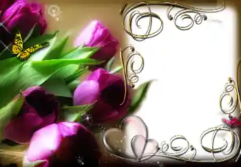 Photo effect from category Frames for Lovers № 78969 Photo effect from category Frames for Lovers № 78969