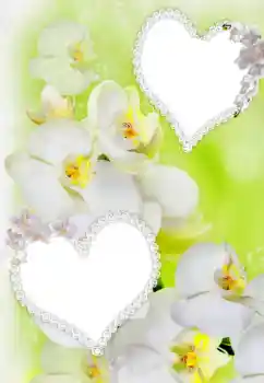 Photo effect from category Frames for Lovers № 91900 Photo effect from category Frames for Lovers № 91900