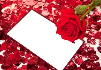 Photo effect from category Frames for Lovers № 96066 Photo effect from category Frames for Lovers № 96066