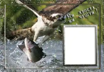 An inscription on the frame: Fishing