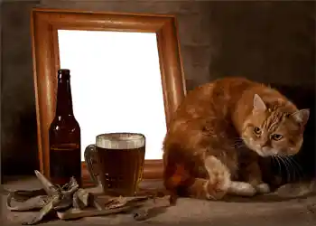 Photo effect from category Men's photo frames № 897 Photo effect from category Men's photo frames № 897