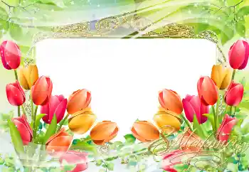 An inscription on the frame: Women's Day