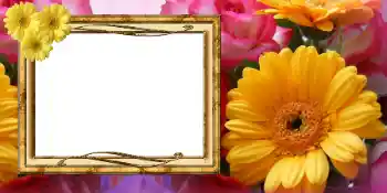 Photo effect from category Women's Day cards № 42675