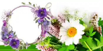 Photo effect from category Women's Day cards № 42739