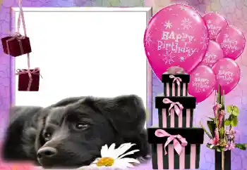 An inscription on the frame: Happy Birthday! An inscription on the frame: Happy Birthday!