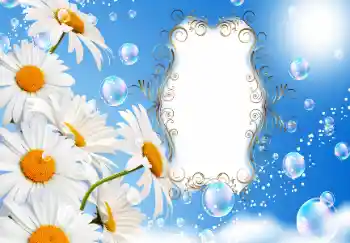 An inscription on the frame: Happy anniversary!