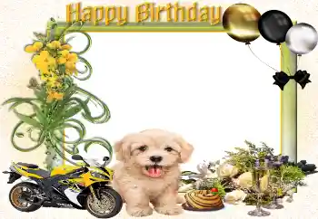 An inscription on the frame: Happy Birthday! An inscription on the frame: Happy Birthday!