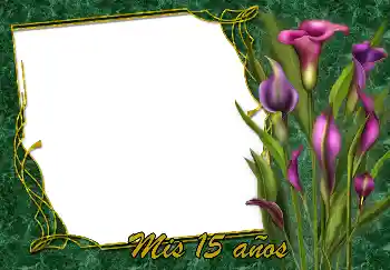 An inscription on the frame: Happy Birthday!