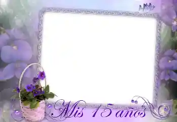 An inscription on the frame: Happy Birthday!