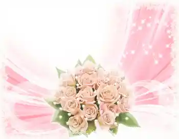 An inscription on the frame: Happy Birthday! An inscription on the frame: Happy Birthday!