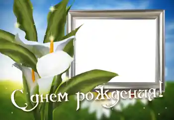 An inscription on the frame: Happy Birthday!