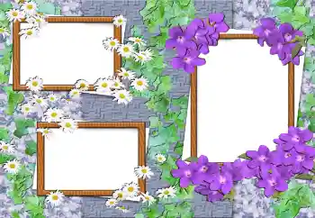 An inscription on the frame: Happy Birthday!